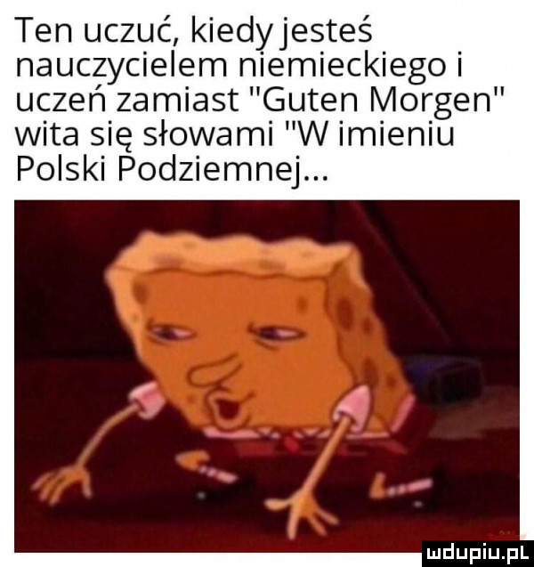 ten uczuć kiedyjesteś nauczycielem niemieckiego uczeń zamiast guben morten wita się słowami w m en u polski podziemnej