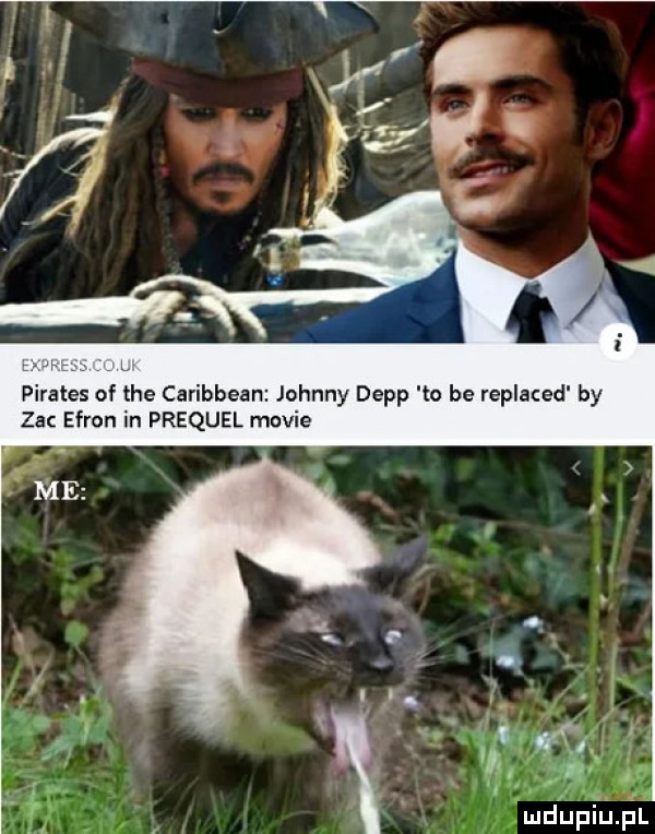 abakankami pilates of tee caribbean johnny depp to be replaced by zac ekron in prequel mobie