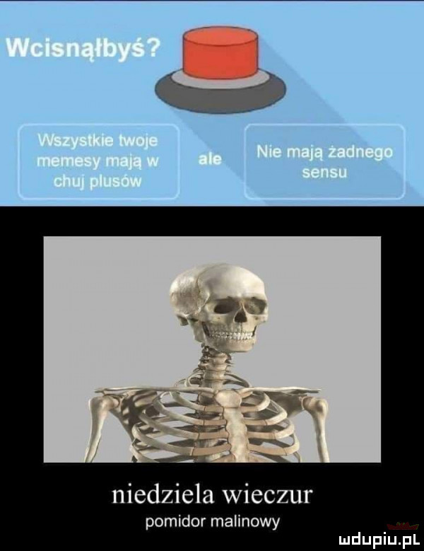 niedziela wilczur pomidor malinowy