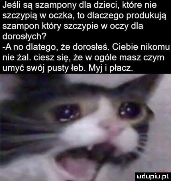jeśli są szampony dla dzieci które nie szczypią w oczka to dlaczego produkują szampon który szczypie w oczy dla dorosłych a no dlatego że dorosłeś. ciebie nikomu nie żal. ciesz się że w ogóle masz czym umyć swój pusty łeb. myj i płacz. i