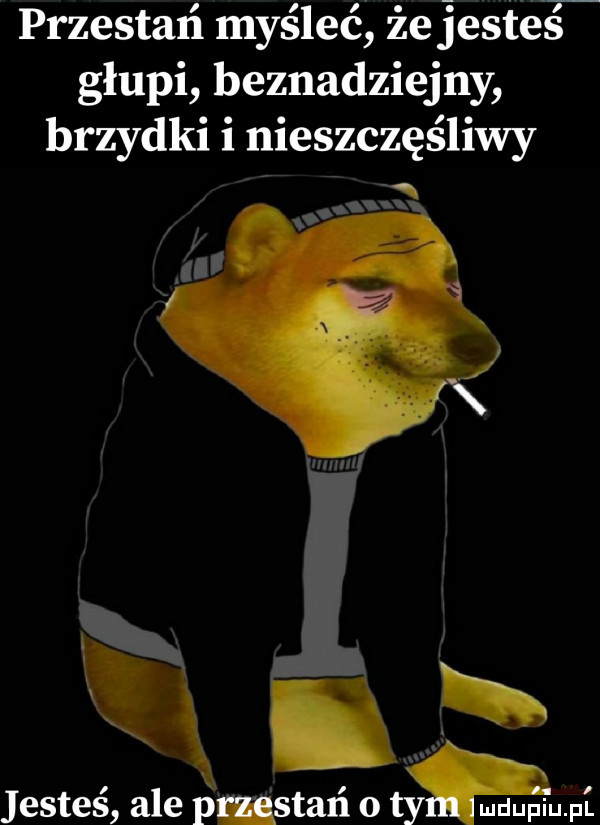 przestań myśleć że jesteś głupi beznadziejny brzydki i nieszczęśliwy mam jesteś ale p stań o ludupiu. pl