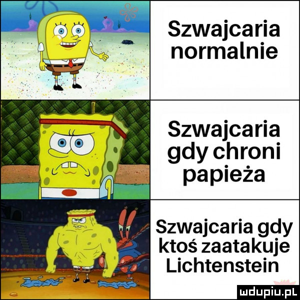 szwajcaria v normalnie s   szwajcaria i gdy chroni me papieża i i q szwajcaria gdy ktoś zaatakuje lichtenstein