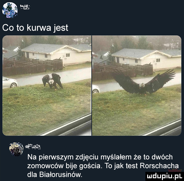co to kurwa jest. na pierwszym zdjęciu myślałem że to dwóch zomowców bije gościa. to jak test rorschacha dla białorusinów