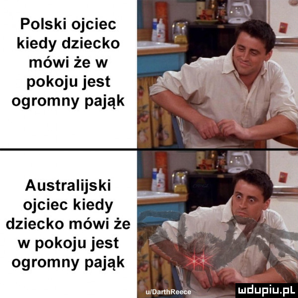 polski ojciec kiedy dziecko mówi że w pokoju jest ogromny pająk australijski ojciec kiedy dziecko mówi że w pokoju jest ogromny pająk u danhreew