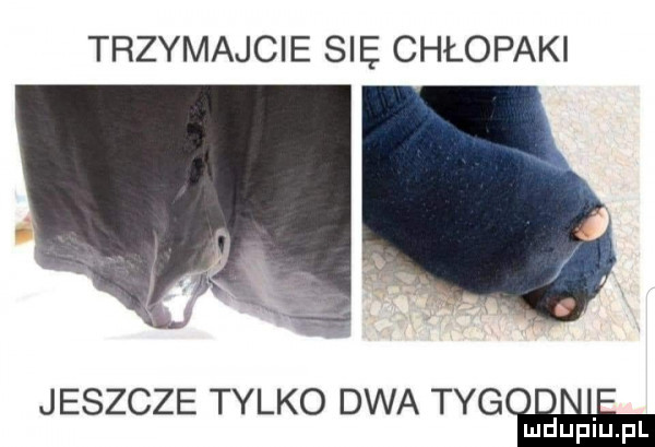 trzymajcie się chłopaki jeszcze tylko dwa tygm lu uplu p