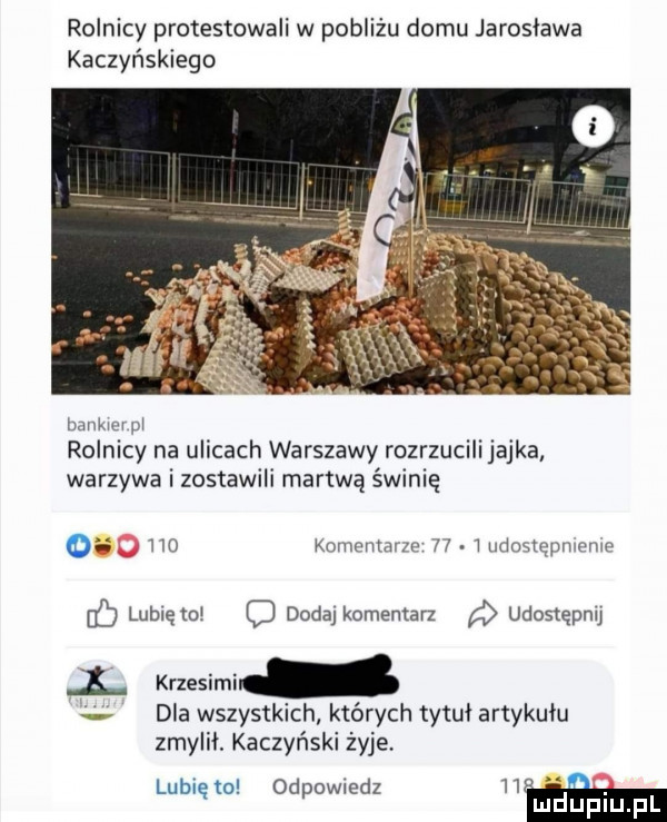 rolnicy protestowali w pobliżu domu jarosława kaczyńskiego mam pl rolnicy na ulicach warszawy rozrzucili jajka warzywa i zostawili martwą świnię o w kommmm i. l mlmtqpnmme dj lubiętol dodaj komentarz udostępnij l krzesimi dla wszystkich k onych tytuł artykulu zmylił. kaczyński żyje lubię to odpowmdz