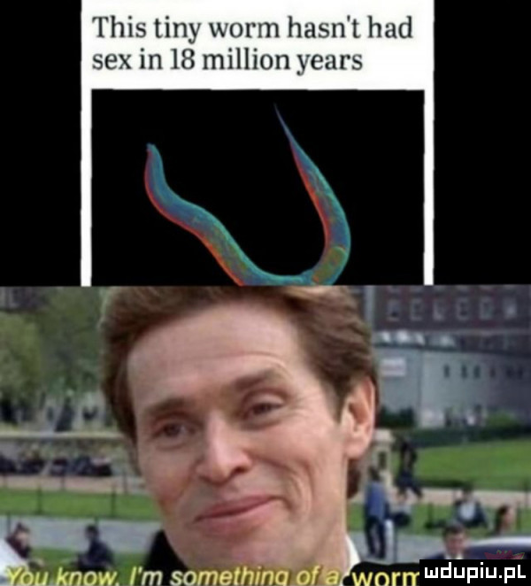 tais liny mam hafn t haul sex in    million yours