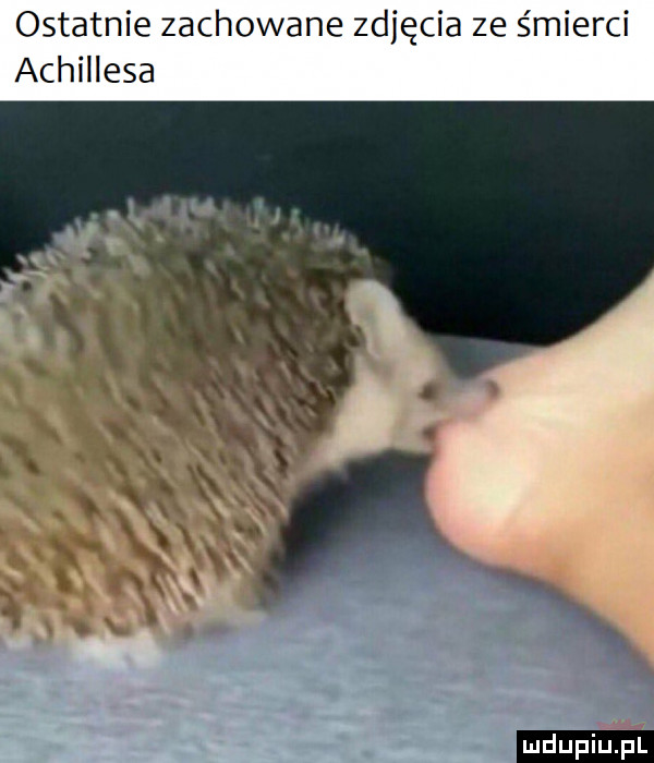 ostatnie zachowane zdjęcia ze śmierci achillesa ludu iu. l