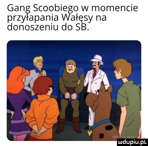 gan scoobiego w momencie przy acania wałęsy na donoszeniu do sb. mdupiﬁpl