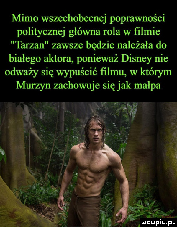 mimo wszechobecnej poprawności politycznej główna rola w filmie tarzan zawsze będzie należała do białego aktora ponieważ disney nie odważy się wypuścić ﬁlmu w którym murzyn zachowuje się jak małpa