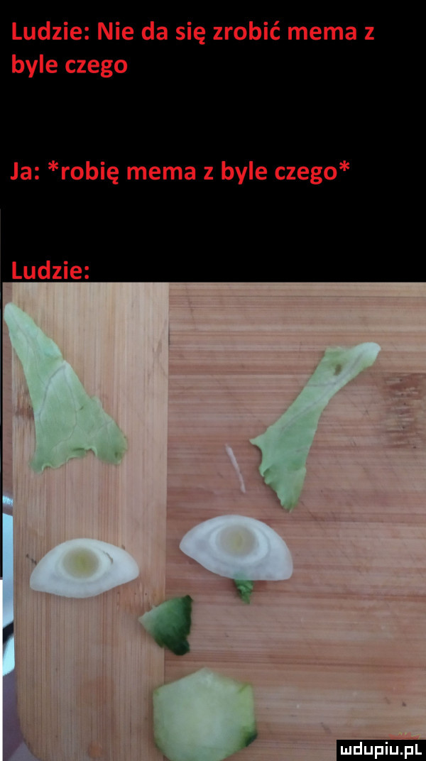 ludzie nie da się zrobić mema z byle czego ja robię mema z byle czego
