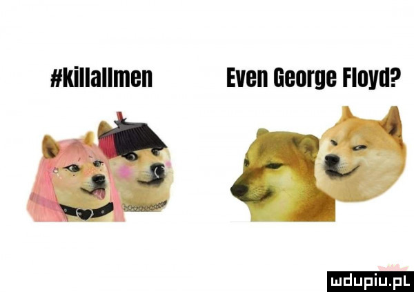 killallmen eden george floyd ludu iu. l