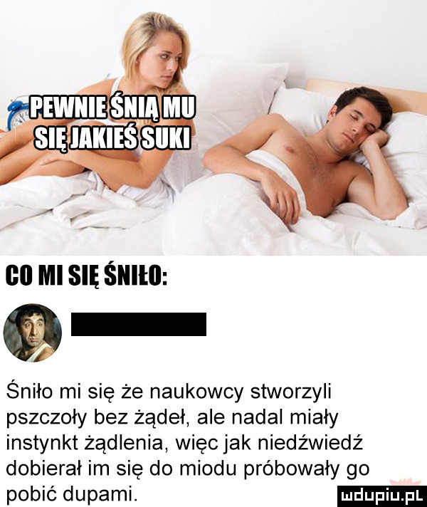 mi się śłłllł śniło mi się że naukowcy stworzyli pszczoły bez żądeł ale nadal miały instynkt żądlenia więc jak niedźwiedź dobierał im się do miodu próbowały go pobić dupami