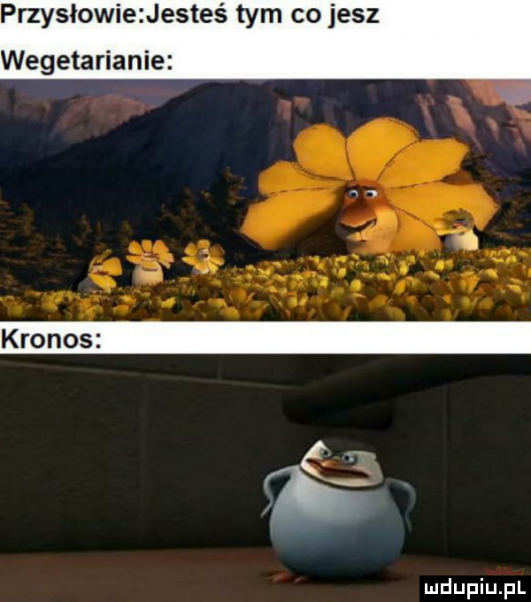 przysłowie jesteś tym co jesz wegetarianie