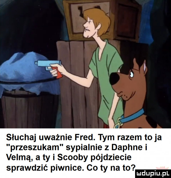 słuchaj uważnie fred. tym razem to ja przeszukam sypialnie z daphne i velmą a ty i scoopy pójdziecie sprawdzić piwnice. co ty na to