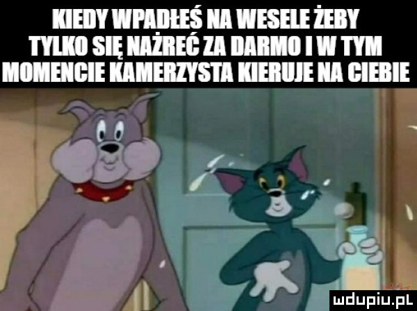 iieiiy nnnus ibl eee żeby