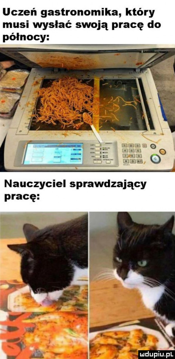 uczeń gastronomika który musi wysłać swoją pracę do północy nauczyciel sprawdzający pracę ludupiu l