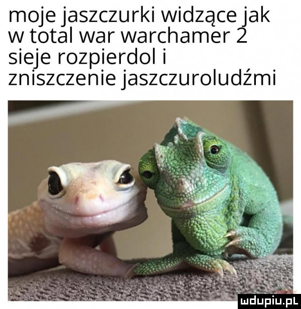 moje jaszczurki widzące jak w total war warchamer   sieje rozpierdol i zniszczenie jaszczuroludźmi