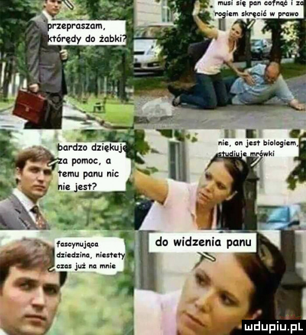 n jen bieluniem. rwkl fnnynująea cumin niesnry czas już na na