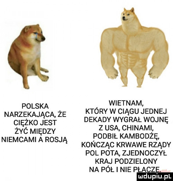wietnam polska. który w ciągu jednej narzekająca ze dekady wygrał wojnę ciężko jest zyc m ędzy z usa chinom niemcami a rosją pomb ł kambodżę. kończąc krwawe rządy pol pota zjednoczyl kraj podzielony na pół nie płacze