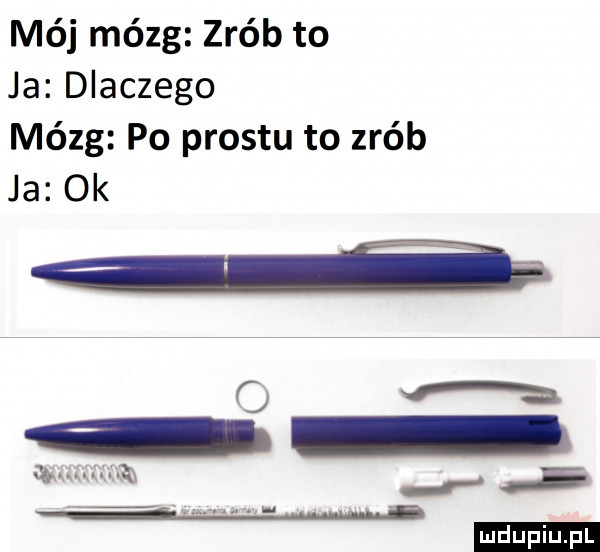 mój mózg zrób to ja dlaczego mózg po prestu to zrób ja ok wmikn