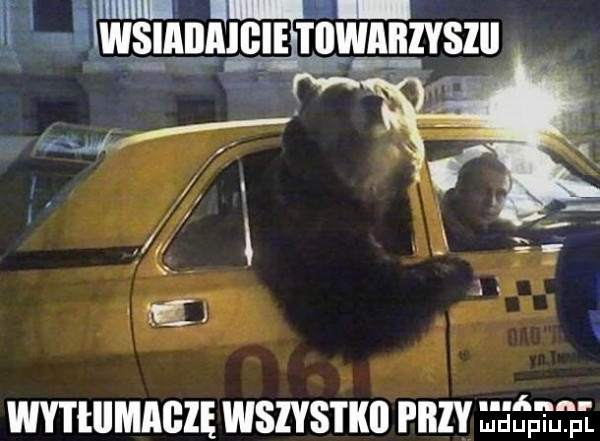 jigga mg   w   ff.   t a lg wytłiimagzę wszystko przy ł jśji uf p l