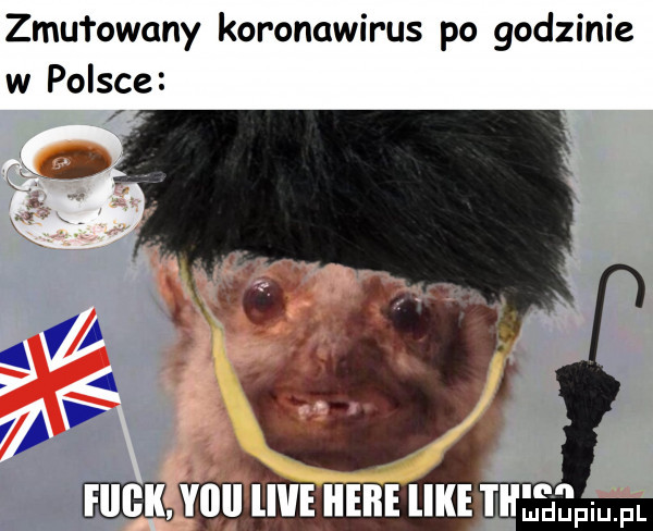 ziu łowany koronawirus po godzinie w polsce