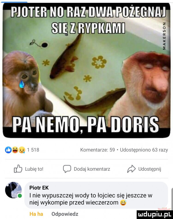 z o v w ga.   ms komentarze    udostępmono    ra y lubwęto doda. komentarz a udostepmy e piotr ek i nie wypuszczaj wody to łojciec się jeszcze w niej wykompie przed wieczerzom odpowiedz