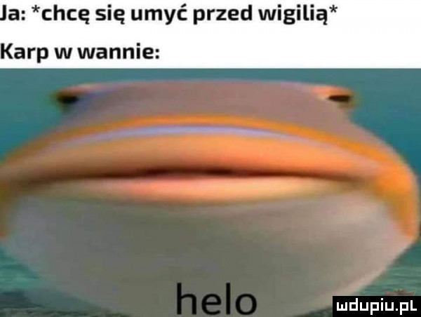 a chcę się umyć przed wigilią karp w wannie
