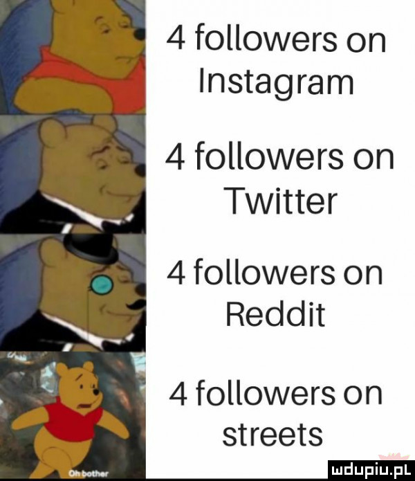 followers on instagram   followers on twitter   followers on redan   followers on streets