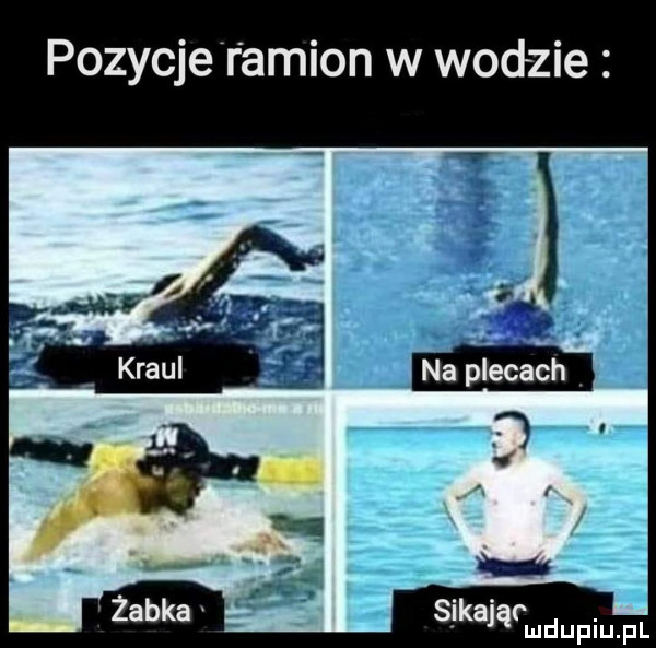 pozycje r anion w wodzie i na plecach l sjkająrm duciu pl
