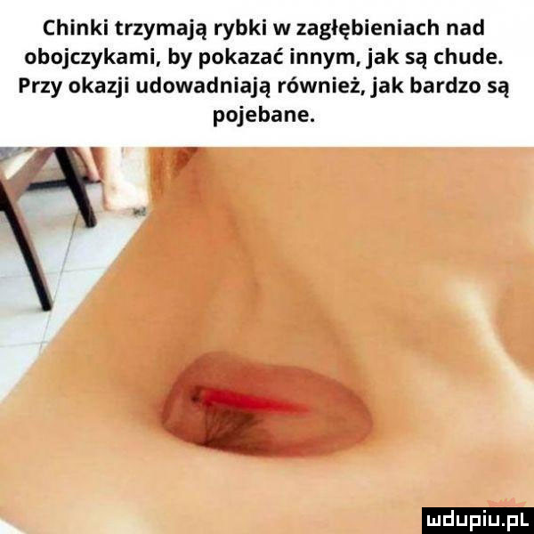 chinki trzymają rybki w zagłębieniach nad obojczykami by pokazać innym ak są chude. przy okazji udowadniają równieź jak bardzo są pojebane. ludu iu. l