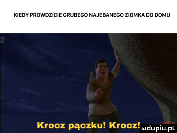 kiedv prowdzicie grubego najebanego ziomka do domu