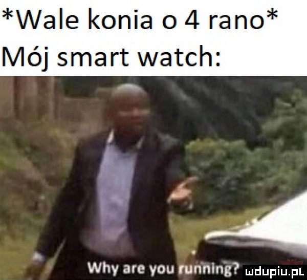 wale konia o   rano mój smart wajch wdy are y-u running ludupiu il