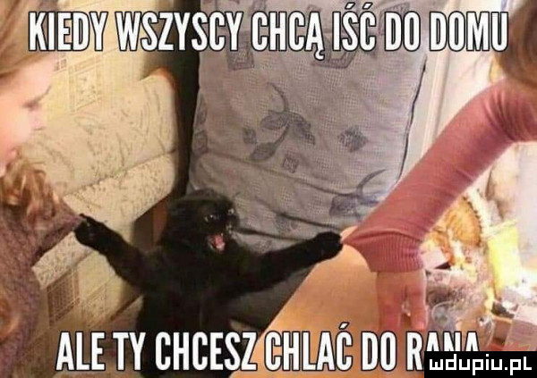 v j w v v n k ale ty ciesz memu