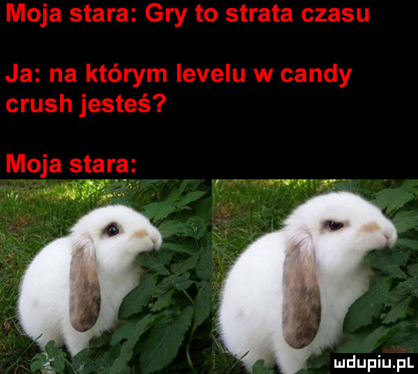 moja stara gry to strata czasu ja na którym levelu w cindy crush jesteś mo a stara