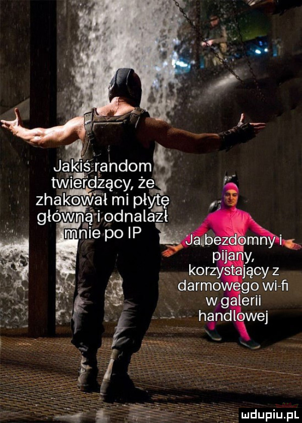 t i u lipiu pl
