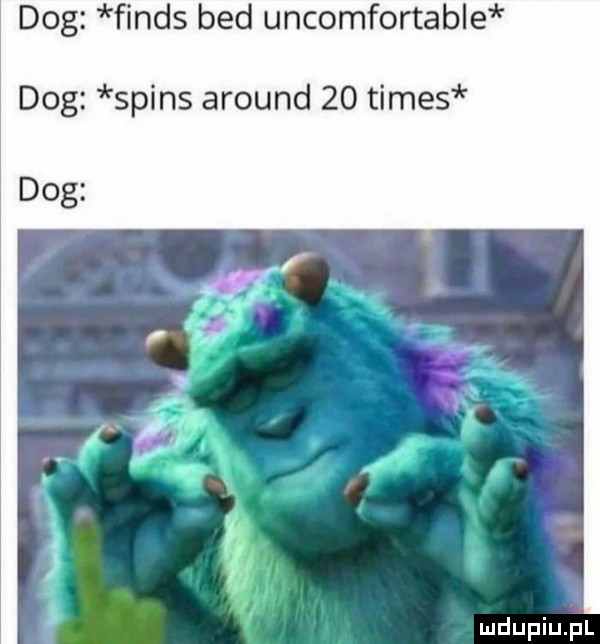 dog finis bed uncomfortable dog spins around    times