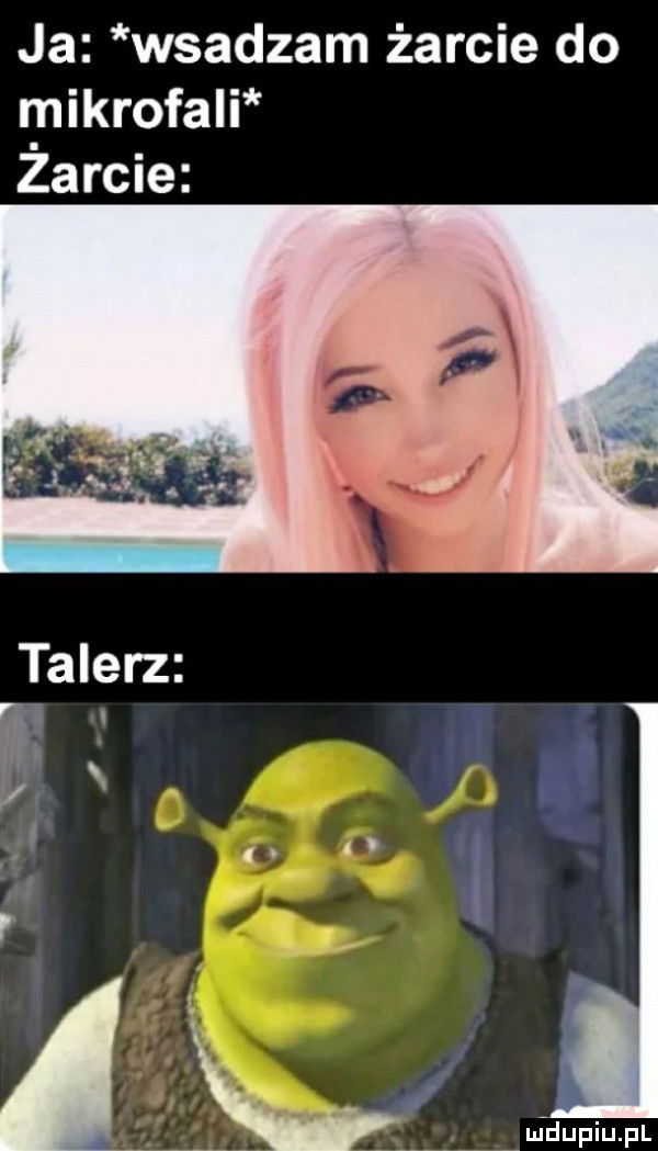 ja wsadzam żarcie do mikrofali zarcie