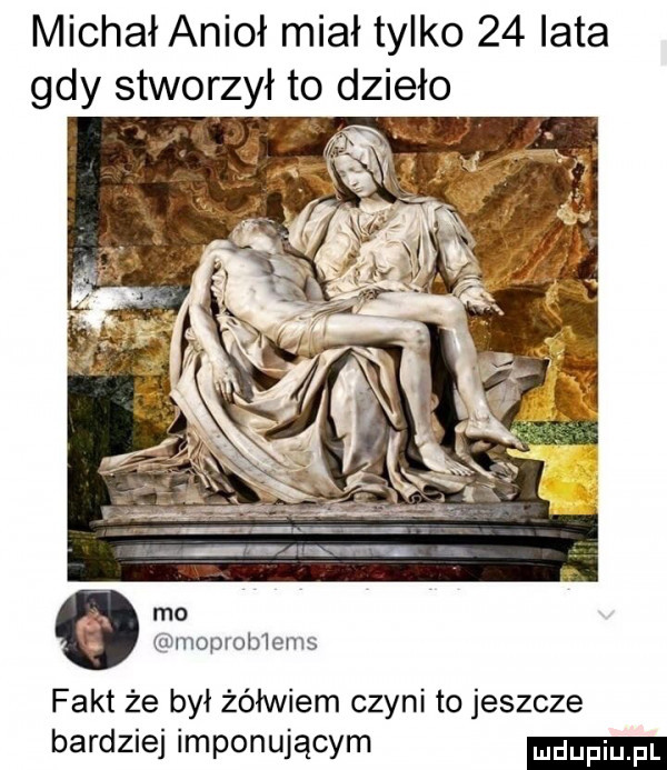 michał anioł miał tylko    lata gdy stworzył to dzieło moprobiems fakt że był żółwiem czyni to jeszcze bardziej imponującym