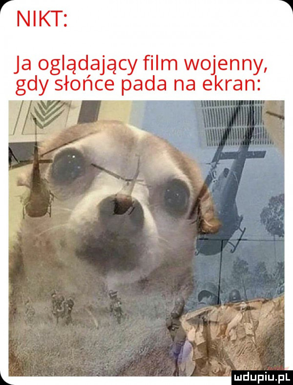 nikt ja oglądający film wojenny gdy słońce pada na ezkran