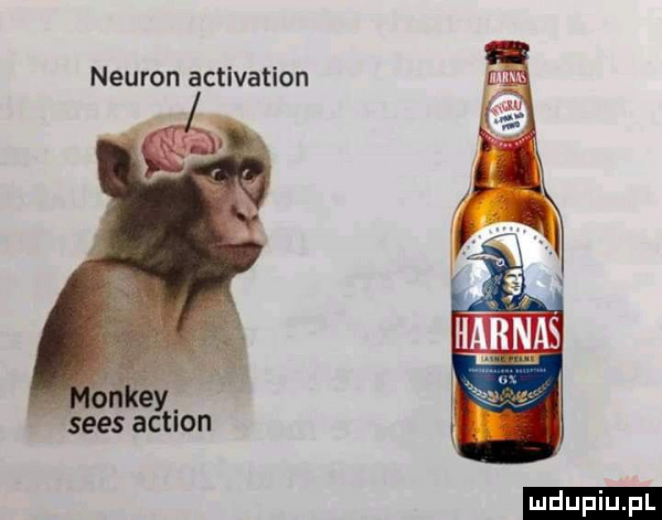 neuron activation ey.      actnon ludu iu. l