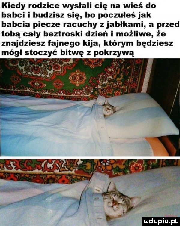 kiedy rodzice wysiali cię na wieś do babci i budzisz się bo poczułeś jak babcia piecze racuchy jabłkami a przed tobą cały beztroski dzień i możliwe że znajdziesz fajnego kija którym będziesz módl stoczyć bitwę z pokrzywą. b v ł ludu iu. l