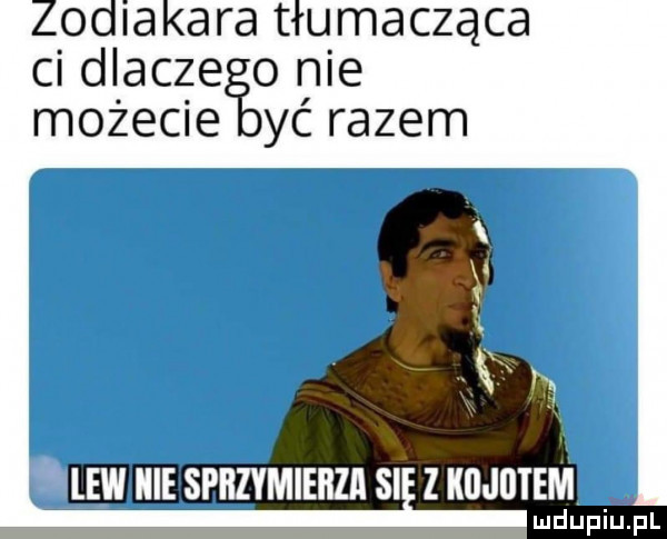 zodiakara tłumacząca ci dlacze o nie możecie yc razem