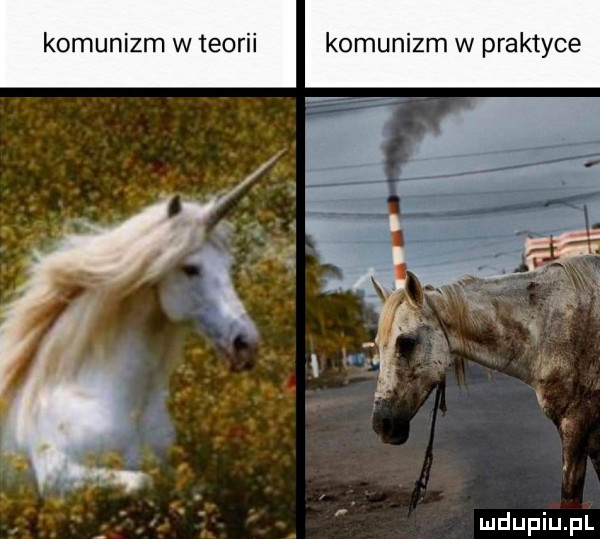 komunizm w teorii komunizm w praktyce