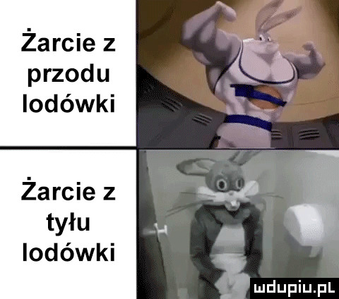 żarcie z przodu lodówki żarcie z tyłu lodówki