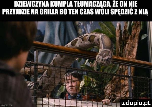 iiiiewgiyiia kiiiipui rmmnm że illl i illyiiilie a eiiiiia illl tall has mu sfęiiiig   ilia