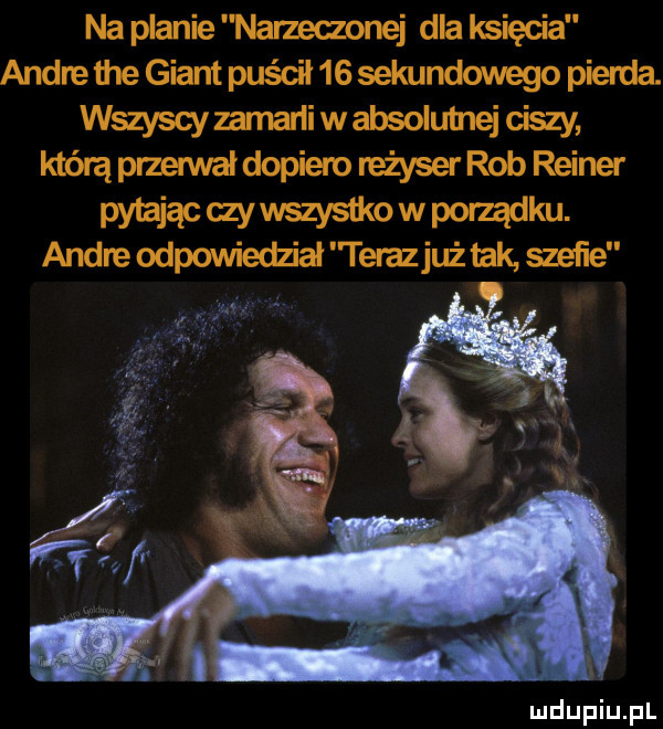 na planie narzeczonej dla lwięcia andre tee géant puścił    sekundowego pienia. wszyscy mmańi w absolutnej ciszy mac czy wszyswo w porządku. andre odpowiedział terazjuż lak górne