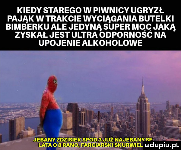 kiedy starego w piwnicy ugryzł pająk w trakcie wyciągania butelki bimberku ale jedyna super moc jaką zyskal jest ultra odpornośó na upojenie alkoholowe