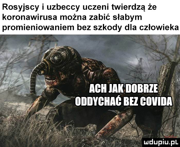 rosyjscy i uzbeccy uczeni twierdzą że koronawirusa można zabić słabym promieniowaniem bez szkody dla człowieka l o v medin dobrze   diiiiygiiaś bez giwiiia